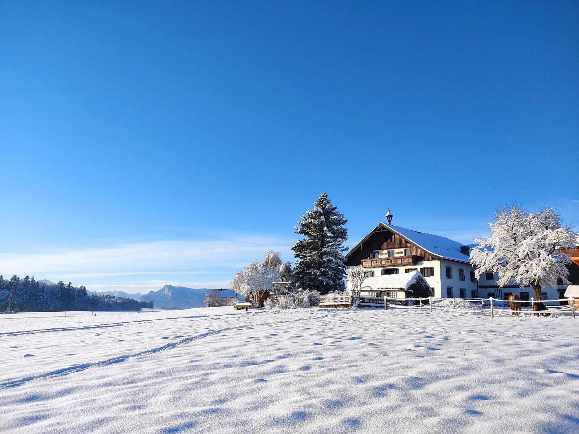 Bauernhofferien Oberdürnberg Villa Seekirchen am Wallersee Exterior foto