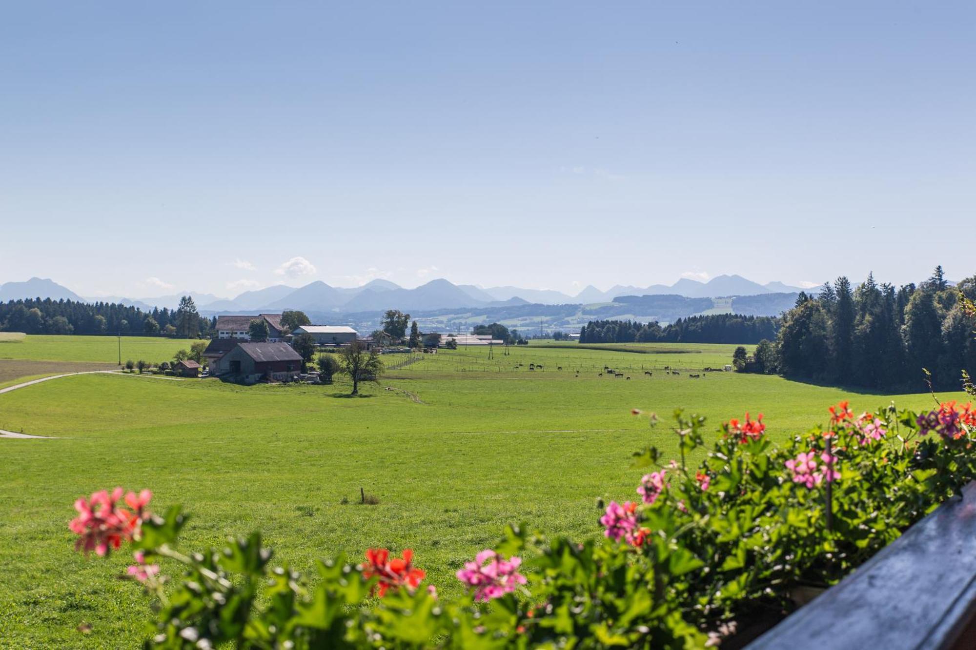 Bauernhofferien Oberdürnberg Villa Seekirchen am Wallersee Habitación foto